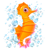Seepferdchenblasen