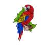 Parrot