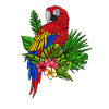 Parrot