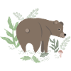 Braunbär im Wald