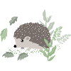 Niedlicher Igel