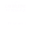 Chamäleon