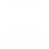 Ameisen Ameise