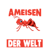 Ameisen Ameise Papa