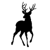 Hirsch Wald Symbol