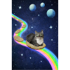 Cute cat in space