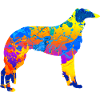 Borzoi Dog Dog