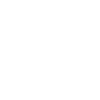 Ant
