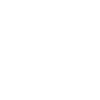 Ant