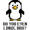 Do you even Linux, bro?
