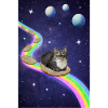 Mignon chat de l’espace
