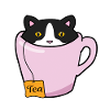 Cute Tea Cat