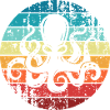 octopus octopuses squid squid