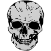 head of death skull halloween