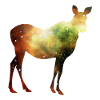 Étoiles de l’espace Moose