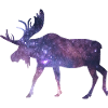 Moose Space Universe Stars Sky