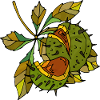 Chestnuts