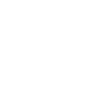 19 Number Crown