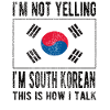 Sydkorea Flagga Sydkoreanska Sydkorea Ursprung
