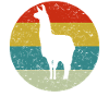 llama