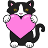 I love cats