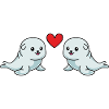 Seal Animal Couple Love