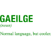 IRISH Language Irland Ireland Irisch