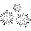 the virus