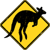 Kangaroo Australia Warning Kangaroo Crossing