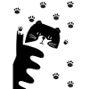 Schwarz-Weiße Katze