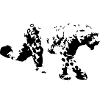 Snow leopard