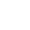 Bat Halloween Flies