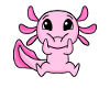 Axolotl