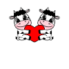 Cœur de vache