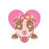 Pitbull Aunt
