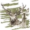 Deer and doe