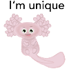 I am unique Axolotl