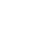 Dinosaurier Fossil Skelett Fukuiraptor