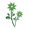 green flowers abstract