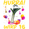 Hurra der Lauch wird 16