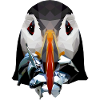 Papageientaucher