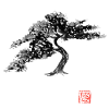 Bonsai