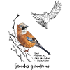 Jay