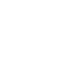 Beetle 2