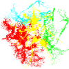 Paint splashes