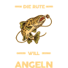 Angeln Forellen Angler
