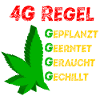 4G REGEL Canabis