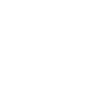 Bracco Italiano