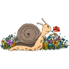 Snail