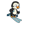 Penguin skis